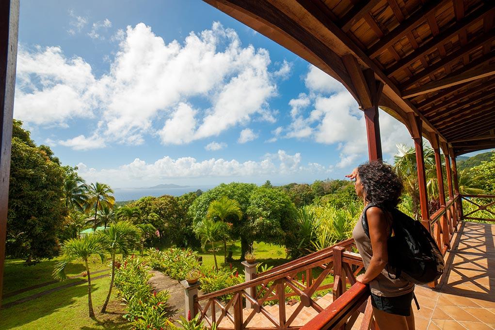 Jardin Malanga Hotel Basse-Terre Luaran gambar