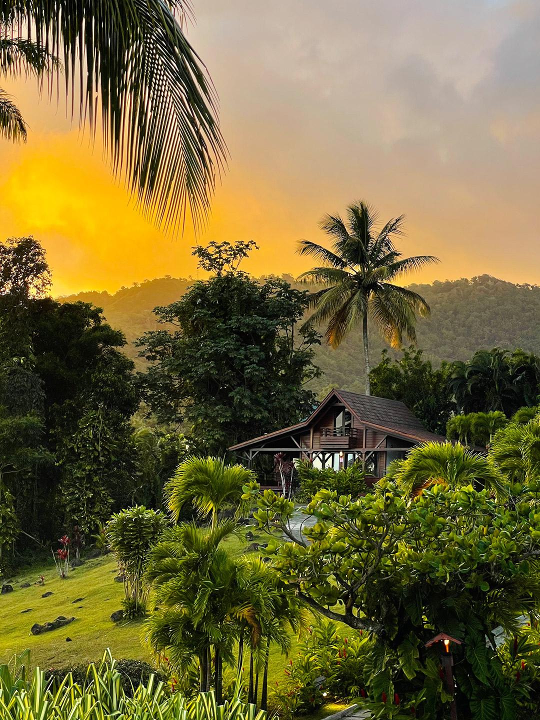 Jardin Malanga Hotel Basse-Terre Luaran gambar