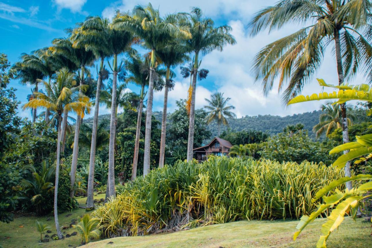 Jardin Malanga Hotel Basse-Terre Luaran gambar