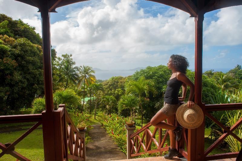 Jardin Malanga Hotel Basse-Terre Luaran gambar