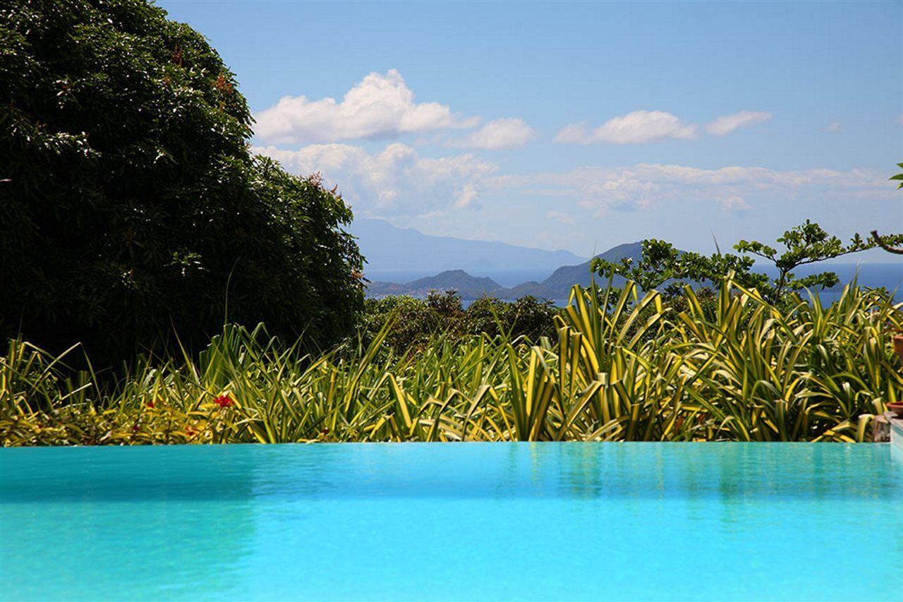 Jardin Malanga Hotel Basse-Terre Luaran gambar